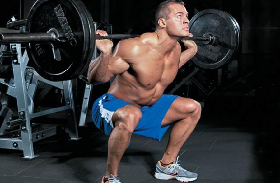 Болденон (Эквипойз): особенности и преимущества использования